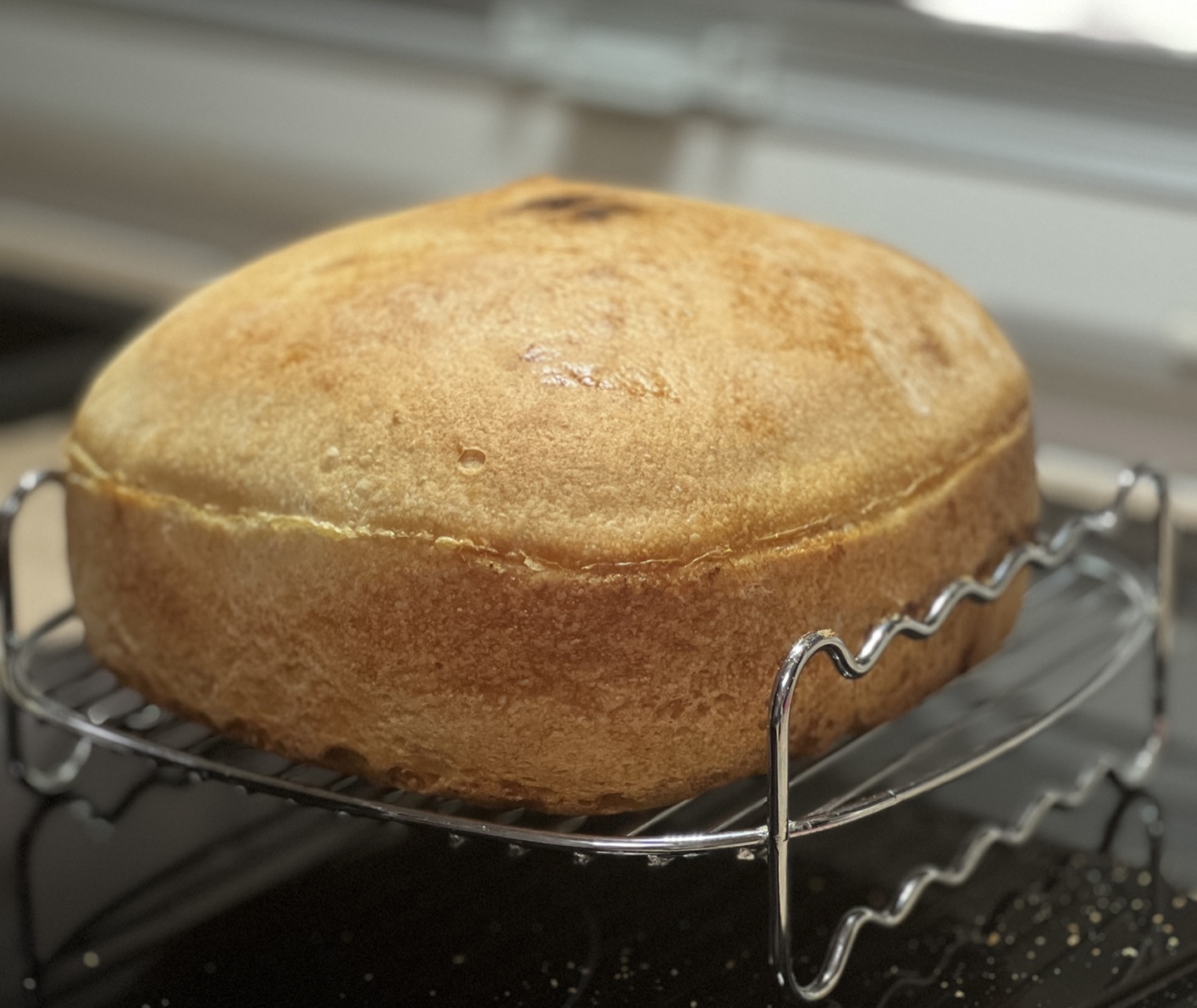 Karen s Sourdough Bread Using Thermomix Air Fryer Aussie 